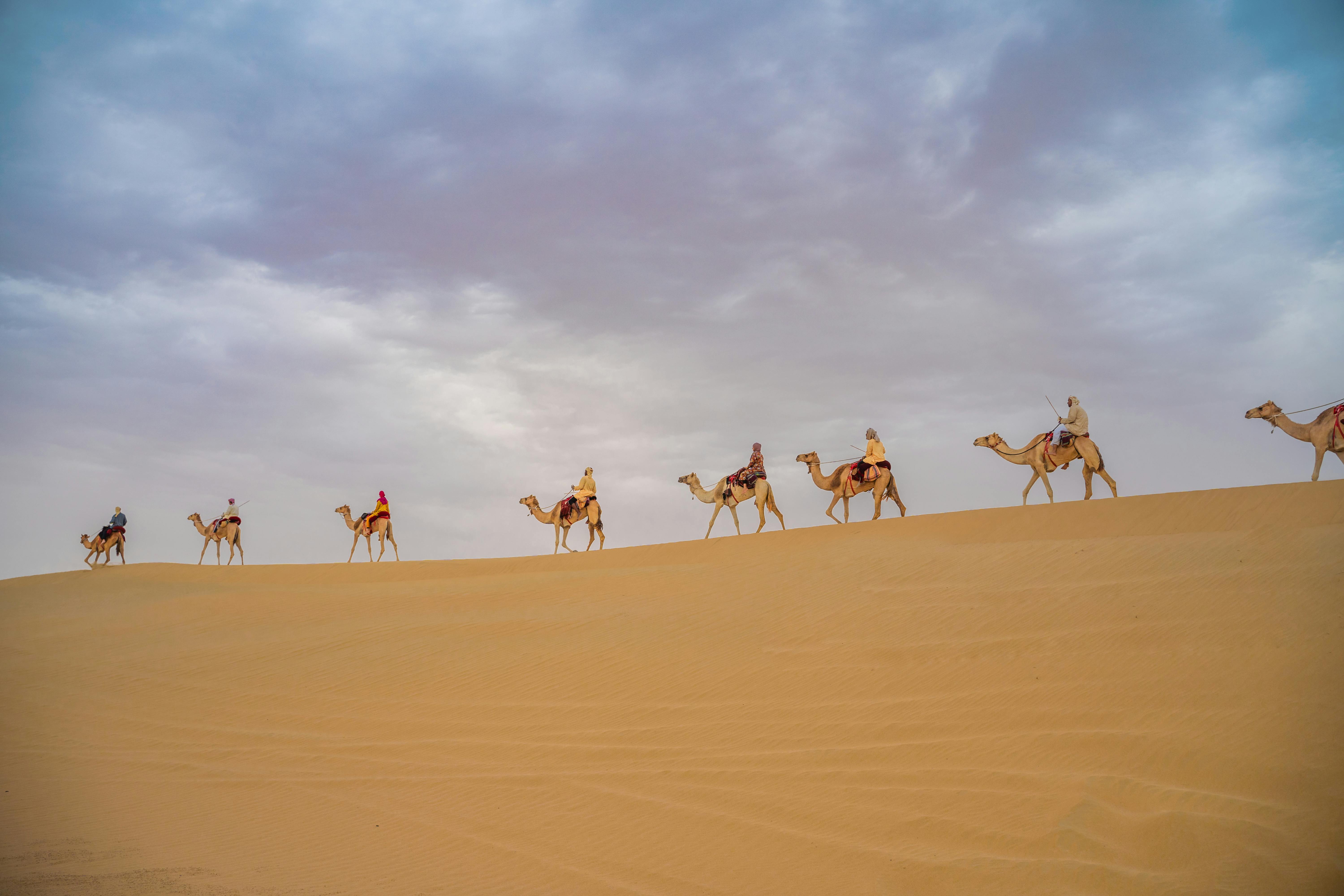 Rajasthan Cultural Tour Package